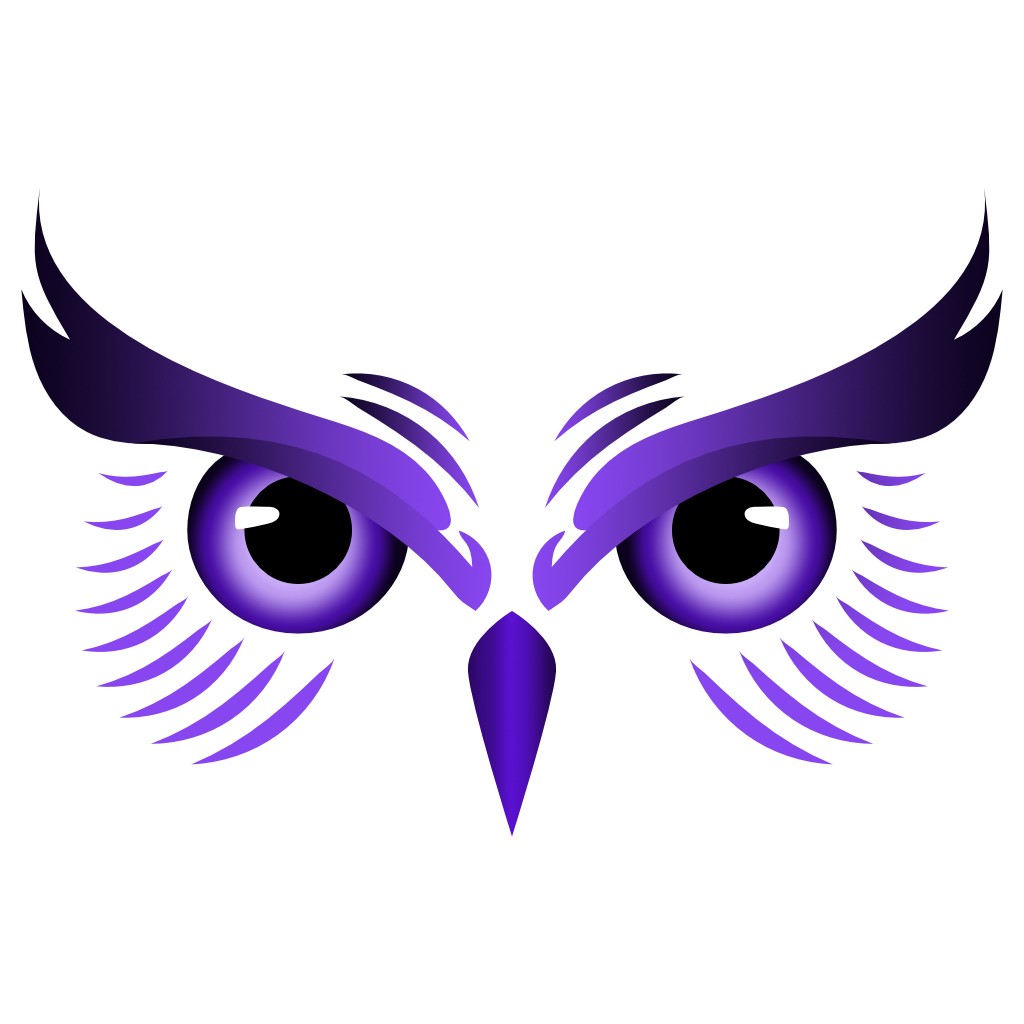 Snowy Owl Holdings Logo